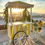 chariot-exterieur-glaces-plage-terrasse-carlton-cannes-4